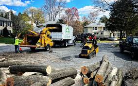 Best Artificial Turf Installation  in Chinchilla, PA